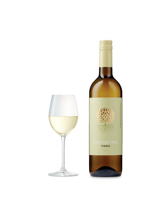 Nostrud Porro Exercitation